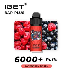Raspberry Berry – IGET Bar Plus 6000 Puffs