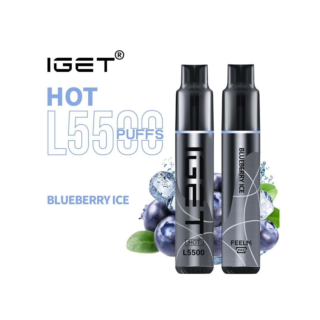 Blueberry Ice - IGET Hot 5500 Puffs
