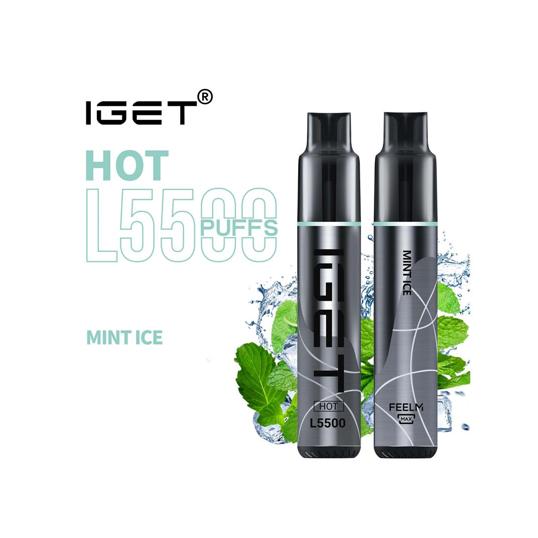Mint Ice- IGET Hot 5500 Puffs