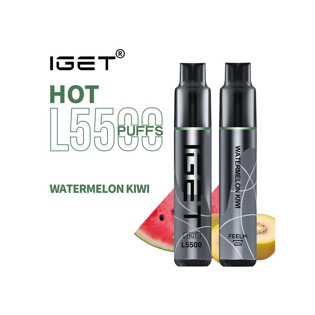 Watermelon Kiwi - IGET Hot 5500 Puffs